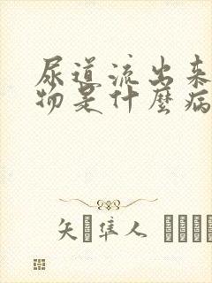 尿道流出来分泌物是什么病