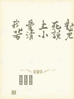 我爱上死对头裴若清小说免费阅读最