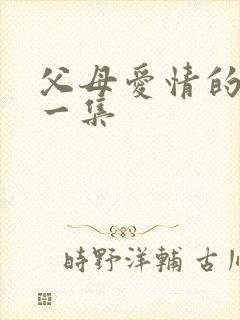 父母爱情的最后一集