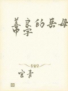 善良的岳母电影中字封面