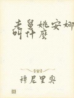 老舅姚安娜演员叫什么