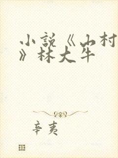 小说《山村情事》林大牛封面