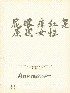 屁眼痒红是什么原因女性封面