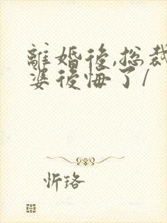 离婚后,总裁老婆后悔了/