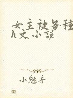 女主被各种调教h文小说