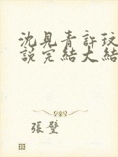 沈见青许玟玟小说完结大结局