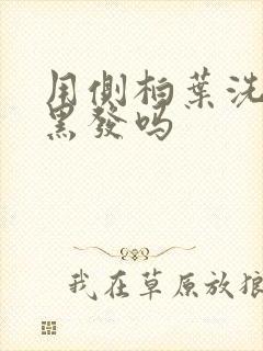 用侧柏叶洗头能黑发吗