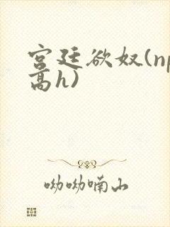 宫廷欲奴(np高h)