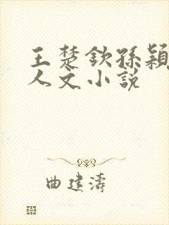 王楚钦孙颖莎同人文小说封面