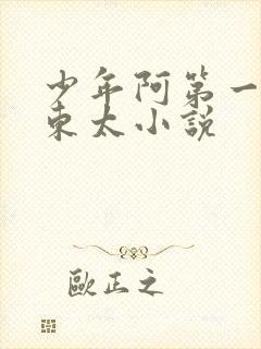 少年阿第一章房东太小说