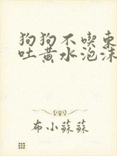 狗狗不吃东西呕吐黄水泡沫粘液封面