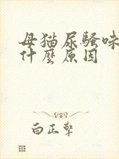 母猫尿骚味大是什么原因