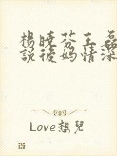 杨晓芬王磊(小说后妈情深)