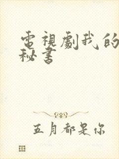 电视剧我的完美秘书