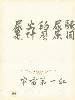 尿出的尿骚味大是什么原因男