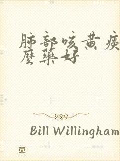 肺部咳黄痰吃什么药好