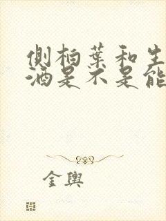 侧柏叶和生姜泡酒是不是能治疗脱发