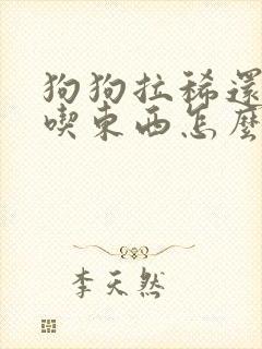 狗狗拉稀还吐不吃东西怎么办