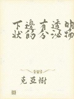 下边有透明果冻状的分泌物