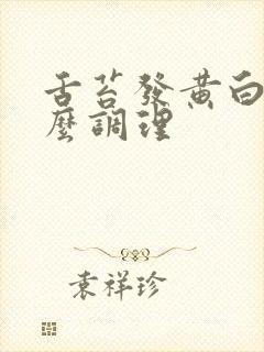 舌苔发黄白厚怎么调理