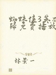 蜘蛛侠3英雄无归免费播放