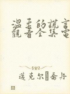 温柔的谎言免费观看全集电视剧封面