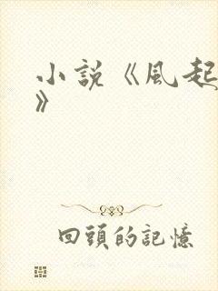 小说《风起龙城》