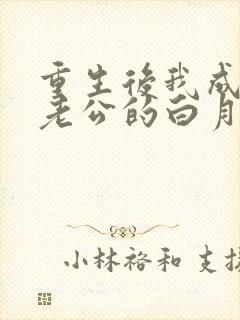 重生后我成了渣老公的白月光小说