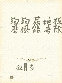 狗狗尿地板上怎么擦能去除骚味