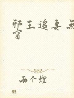 邪王追妻 无弹窗