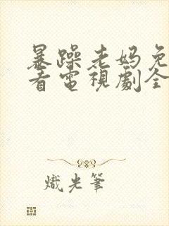 暴躁老妈免费观看电视剧全集完整版