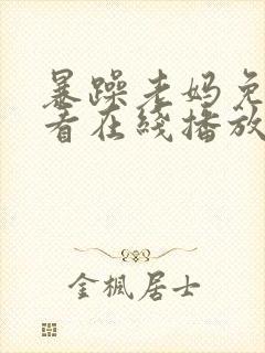 暴躁老妈免费观看在线播放电视剧全