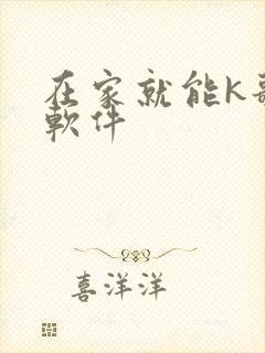 在家就能k歌的软件