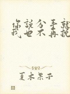 你说分手就分手我也不再挽留是什么歌