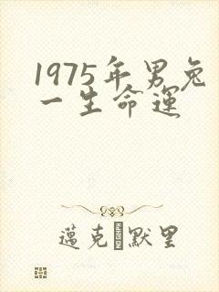 1975年男兔一生命运