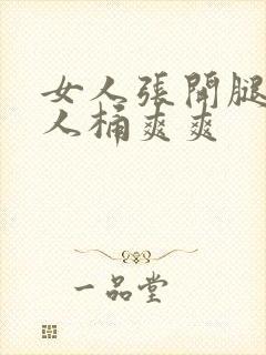 女人张开腿让男人桶爽爽