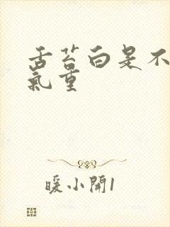 舌苔白是不是湿气重