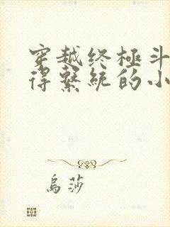 穿越终极斗罗获得系统的小说