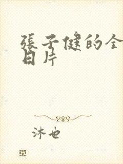 张子健的全部抗日片