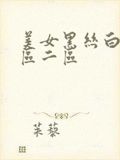 美女黑丝白丝一区二区封面