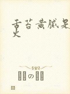 舌苔黄腻是哪的火封面