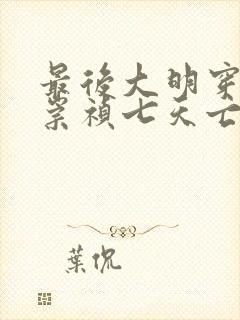 最后大明穿越成崇祯七天亡国小说