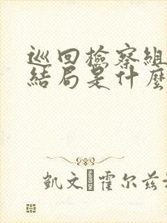 巡回检察组最后结局是什么