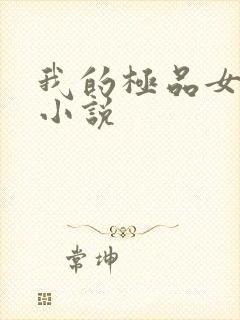 我的极品女老师小说