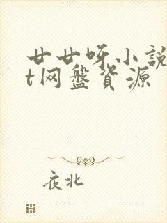 廿廿呀小说txt网盘资源封面