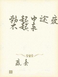 勃起中途疲软硬不起来封面