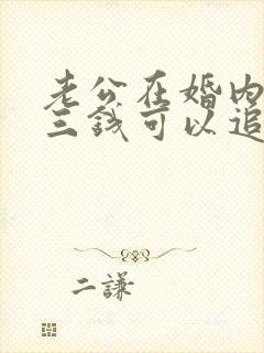 老公在婚内给小三钱可以追回吗封面