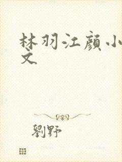 林羽江颜小说全文封面