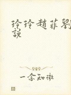 玲玲赵菲刘叔小说