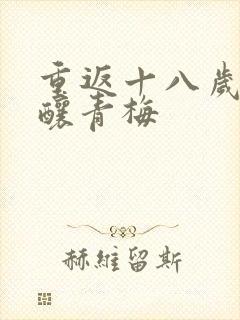 重返十八岁竹马酿青梅封面